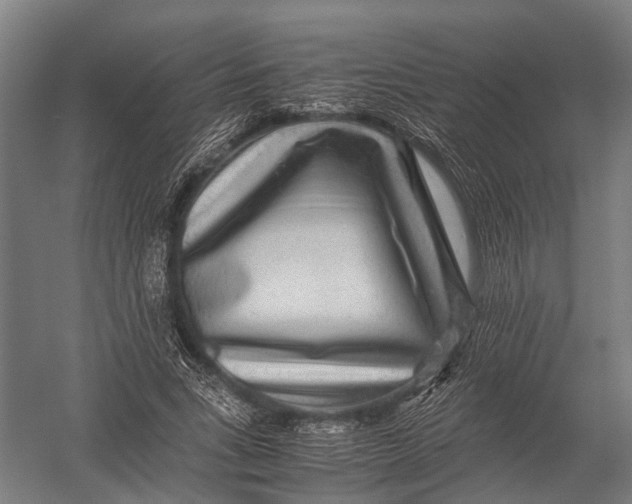 X0000052920735200507292325