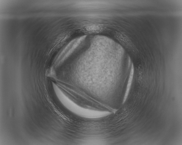 X0000052920742200507292325