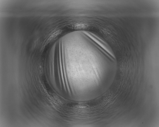 X0000052920743200507292325