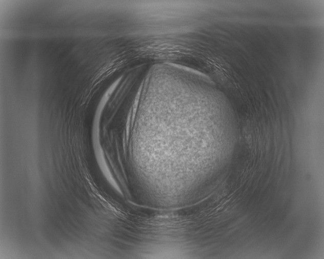 X0000052920744200507292325
