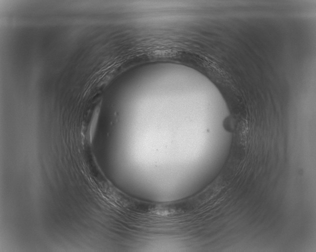 X0000052920746200507292325
