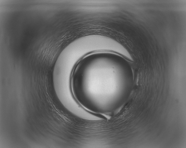 X0000052920750200507292325