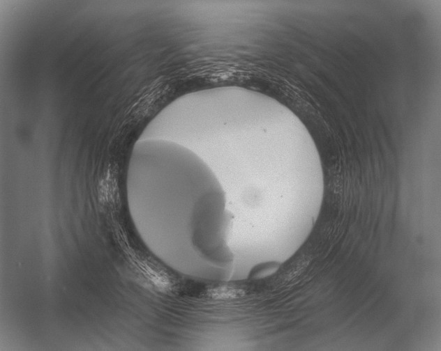 X0000052920754200507292326