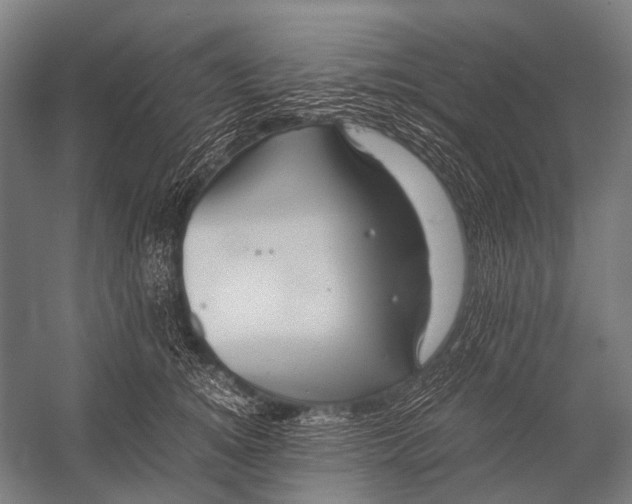 X0000052920756200507292326