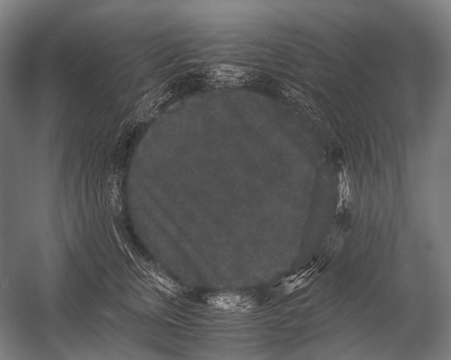 X0000052920759200507292326