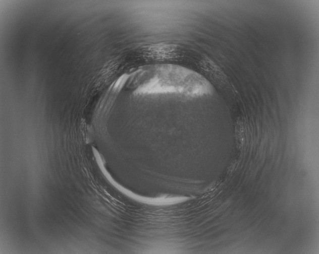 X0000052920760200507292326