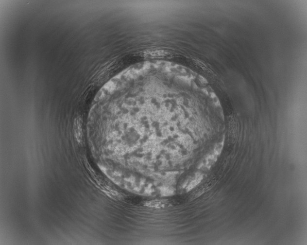 X0000052920761200507292326