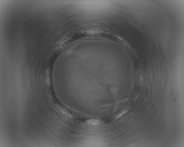 X0000052920762200507292326