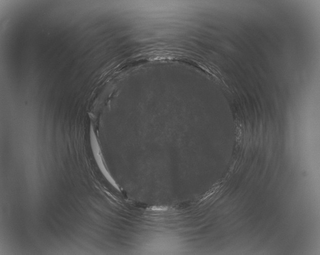 X0000052920766200507292326