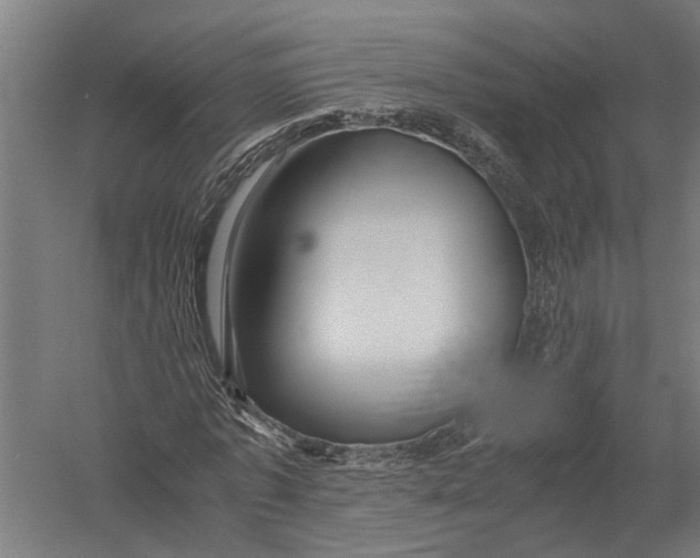 X0000052920773200507292325