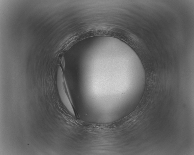 X0000052920774200507292325