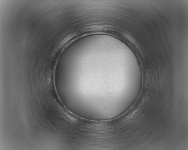 X0000052920778200507292325