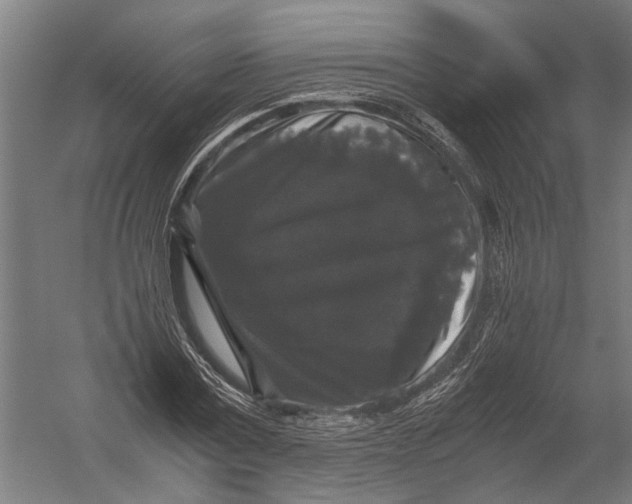 X0000052920779200507292325
