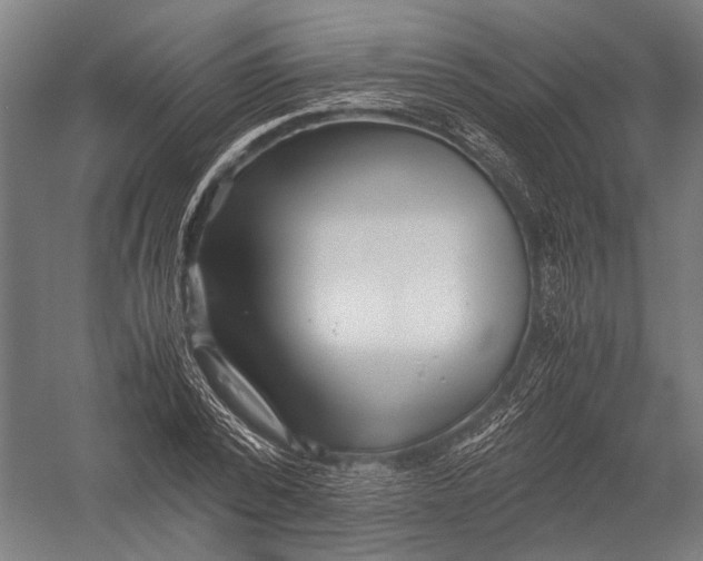 X0000052920784200507292325