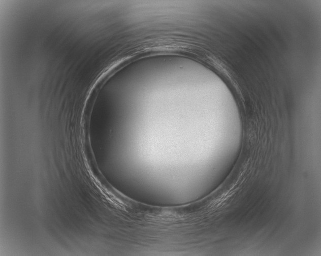 X0000052920787200507292325