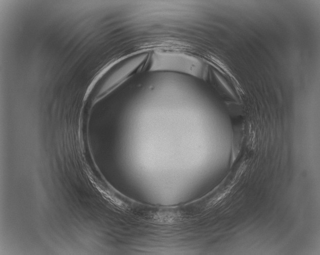 X0000052920788200507292325