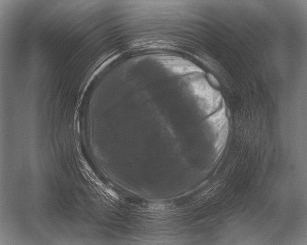 X0000052920790200507292325