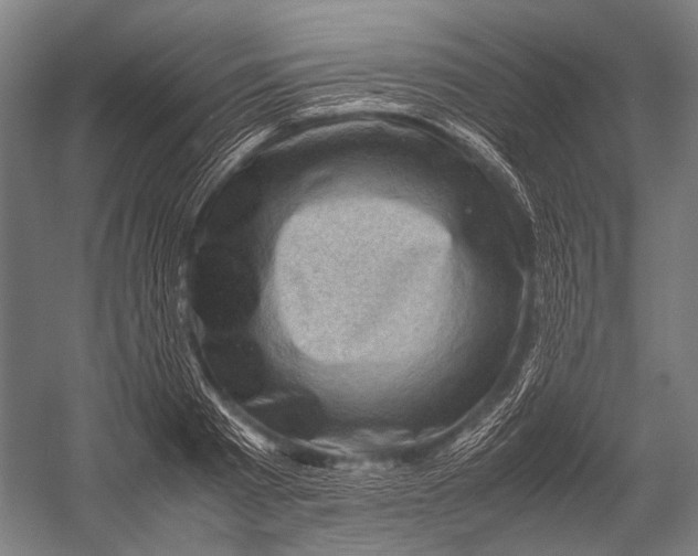 X0000052920793200507292325