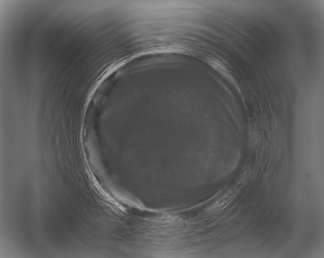 X0000052920797200507292324