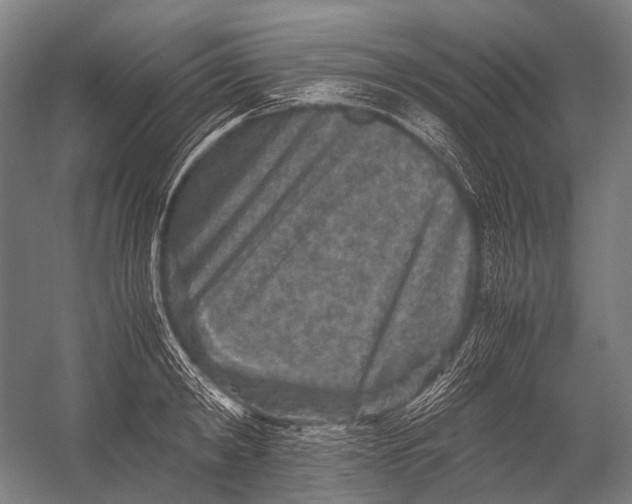 X0000052920798200507292324