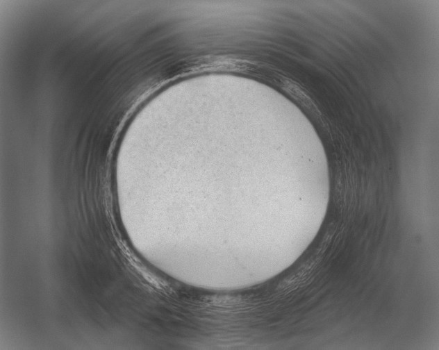 X0000052920800200507292324