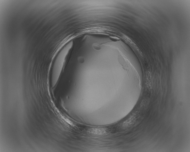X0000052920802200507292324