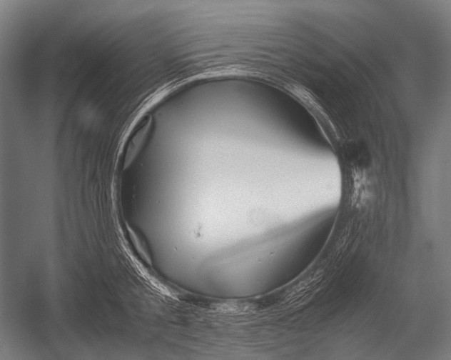 X0000052920805200507292324