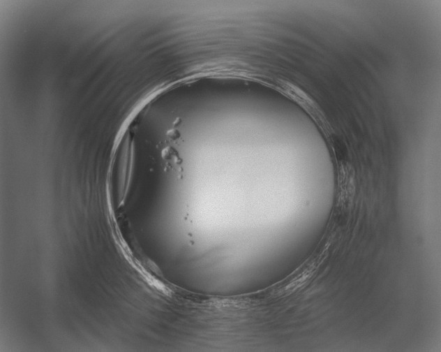X0000052920812200507292324