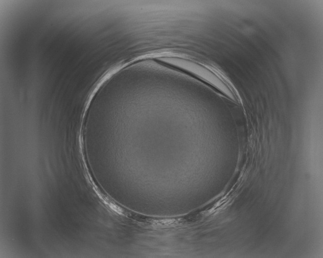 X0000052920813200507292324