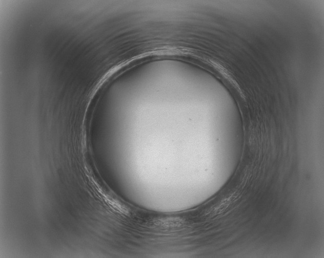 X0000052920837200507292324