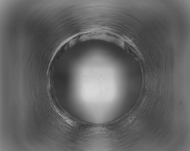 X0000052920838200507292324