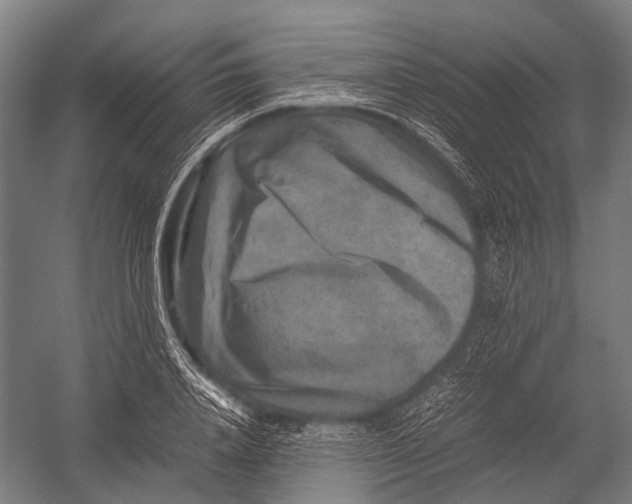 X0000052920840200507292324