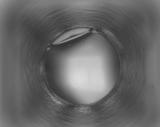 X0000052920841200507292324