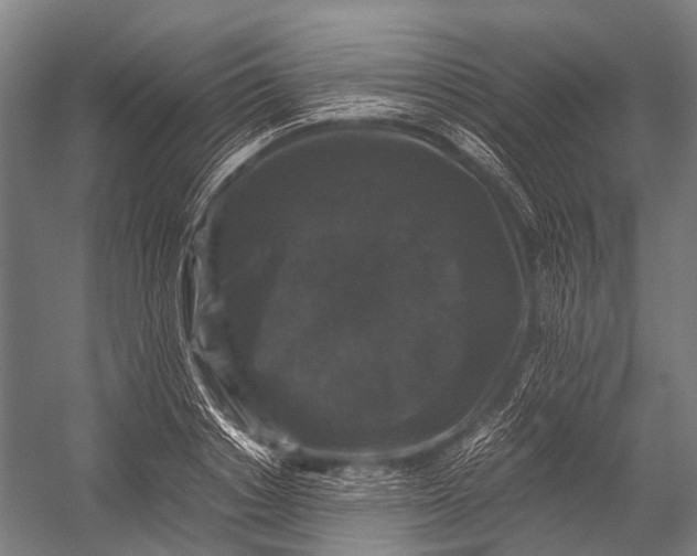X0000052920842200507292324