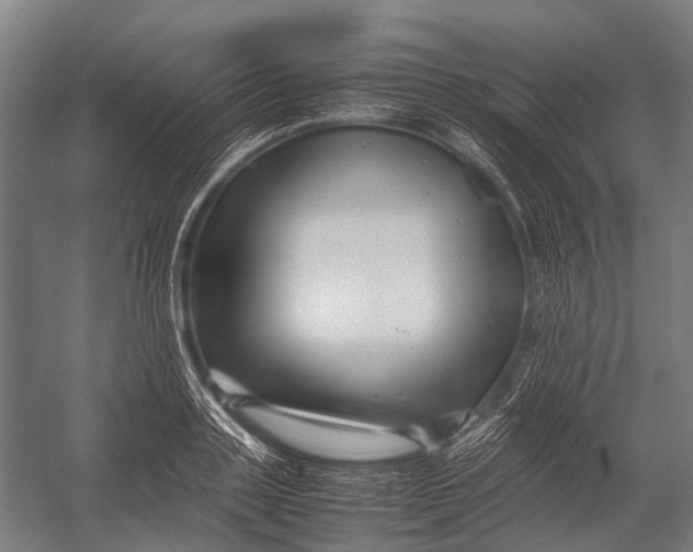 X0000052920843200507292324