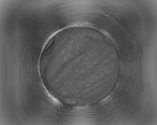 X0000052920846200507292324