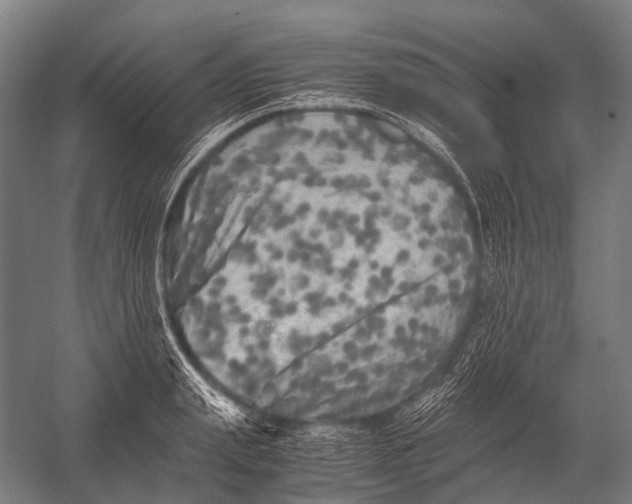 X0000052920847200507292324