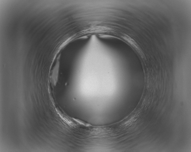 X0000052920850200507292324