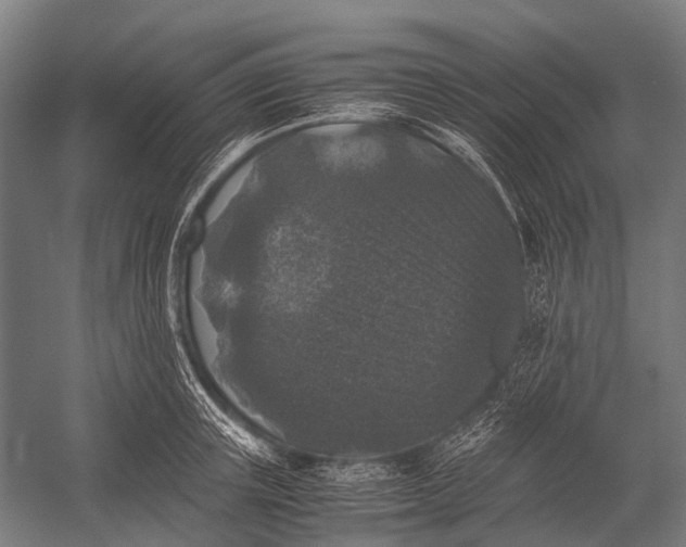 X0000052920851200507292324