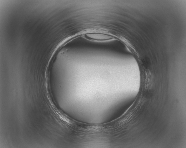 X0000052920854200507292324