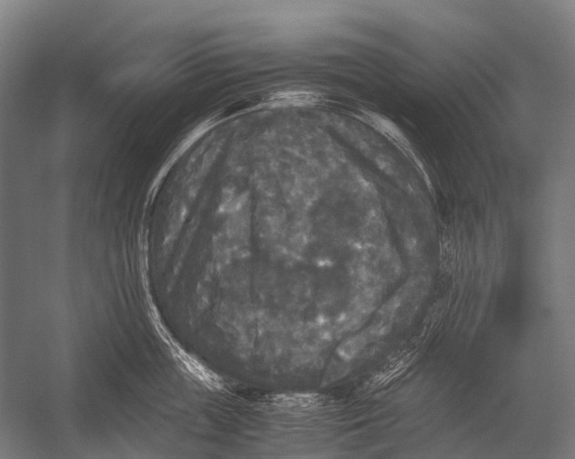 X0000052920859200507292324
