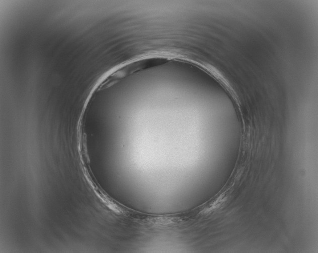 X0000052920862200507292324