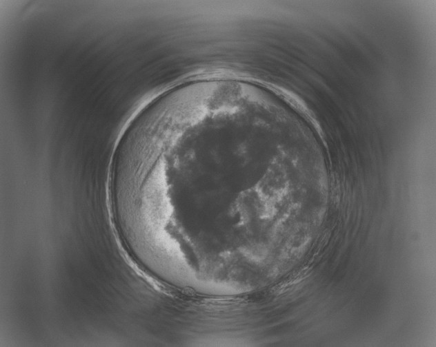 X0000052920863200507292324