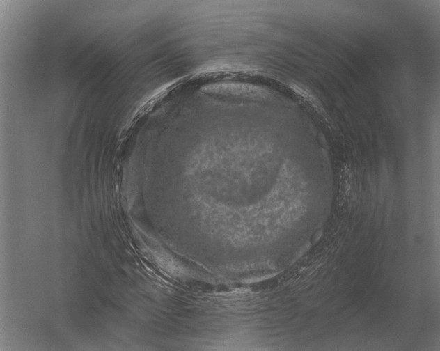 X0000052920872200507292323