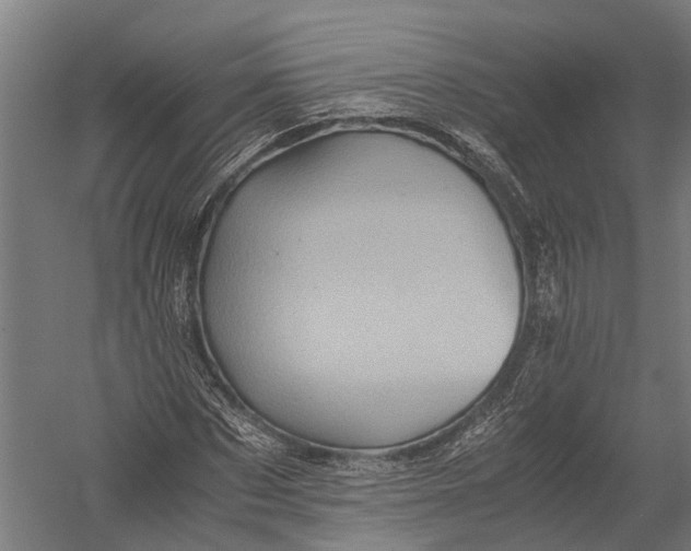 X0000052920873200507292323