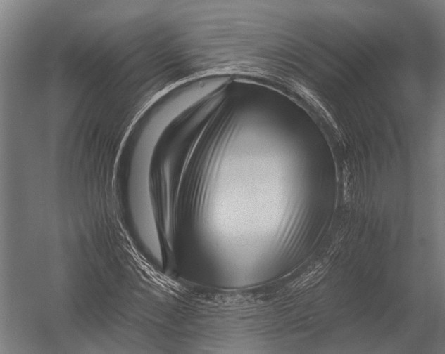 X0000052920876200507292323