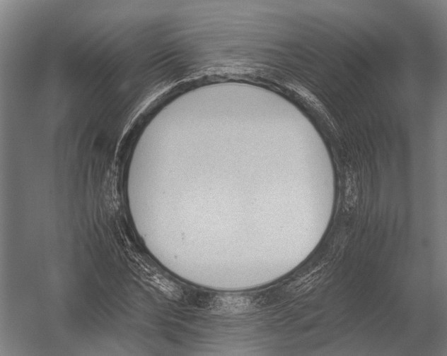 X0000052920878200507292323