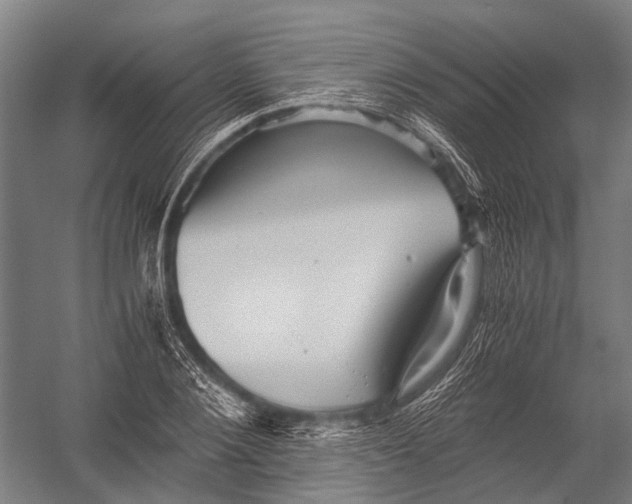 X0000052920884200507292323