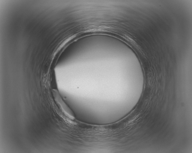 X0000052920885200507292323