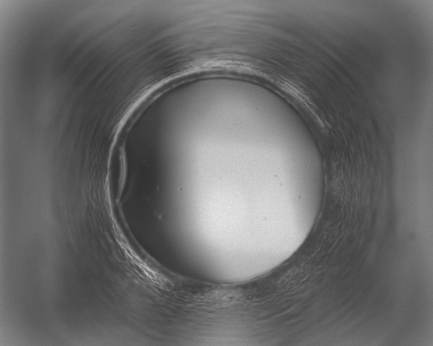 X0000052920888200507292323